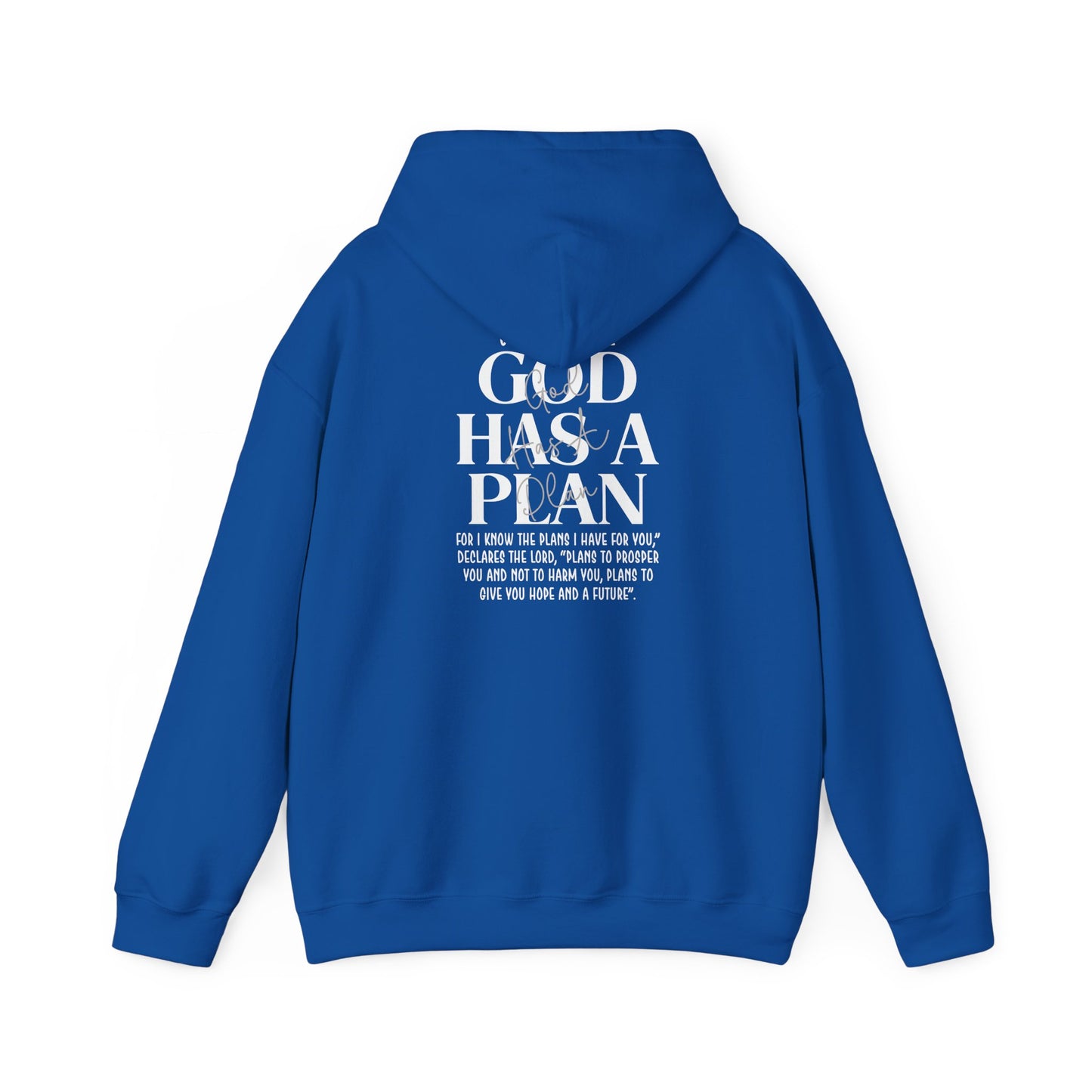 Gods Plan - Pullover