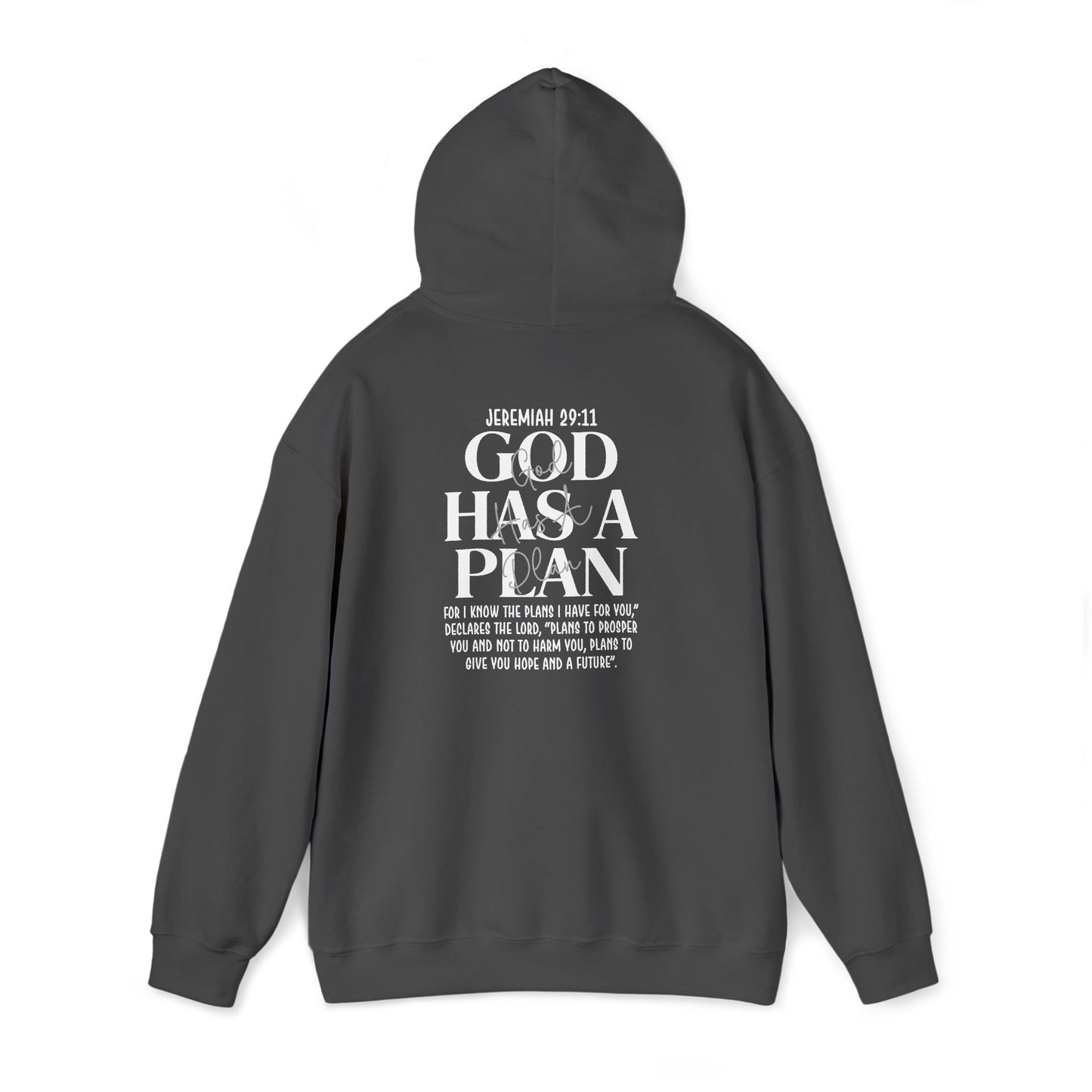 Gods Plan - Pullover