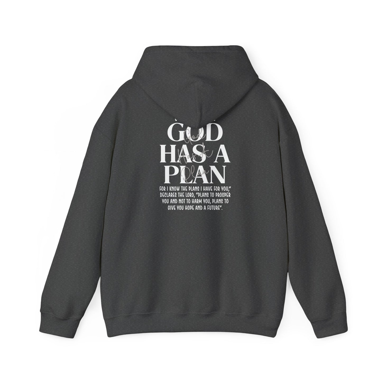 Gods Plan - Pullover