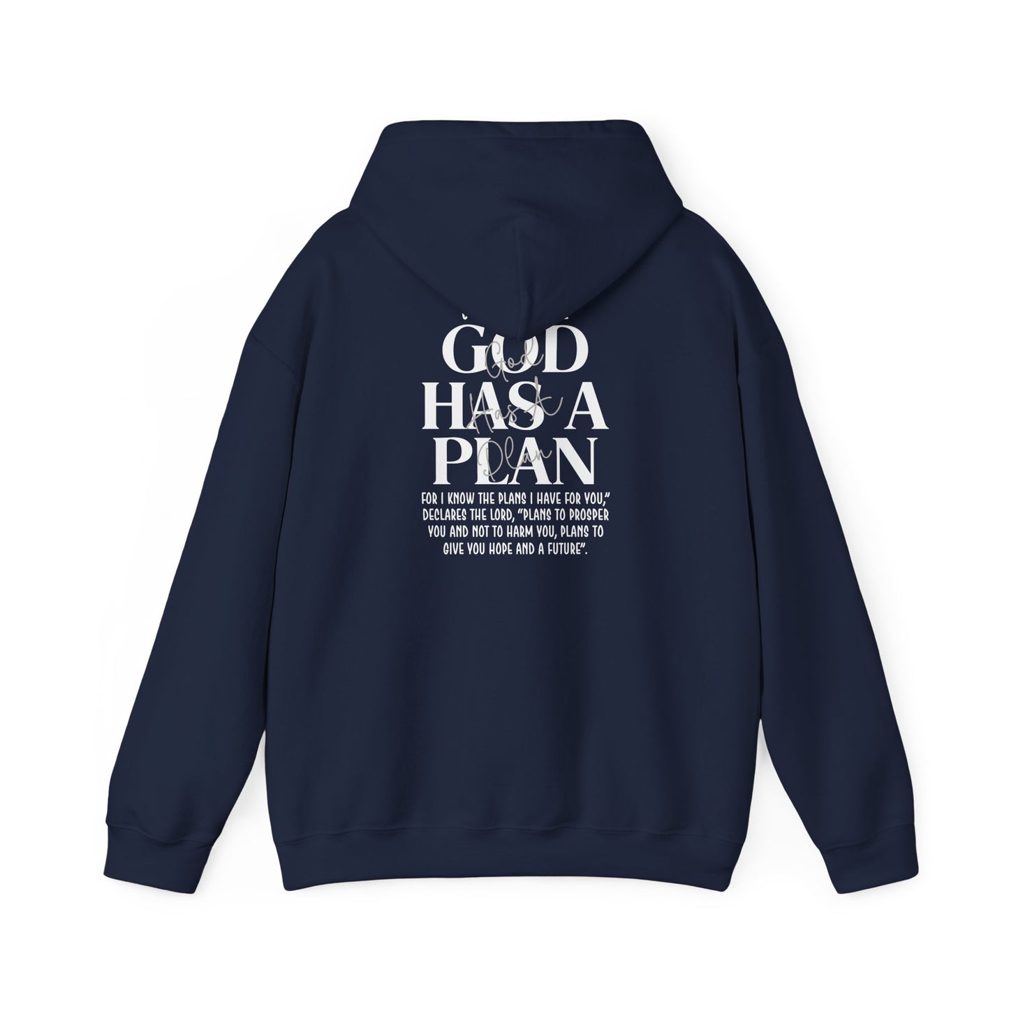 Gods Plan - Pullover
